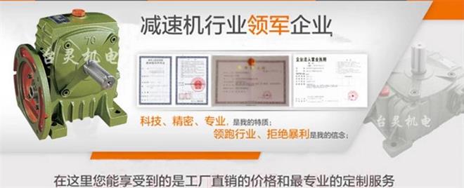 雙級(jí)蝸輪蝸桿減速機(jī)廠(chǎng)家,雙段鑄鐵蝸輪蝸桿減速機(jī)